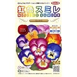 【種子】虹色スミレ　ミックス 小袋