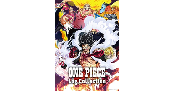 Amazon Amazon Co Jp限定 One Piece Log Collection Levely メーカー特典 オリジナル両面a4クリアファイル オリジナル特典 オリジナルアクリルキーホルダー 付 Dvd アニメ
