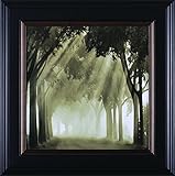 アート効果Misty Grove Framed壁アート ホワイト C35221