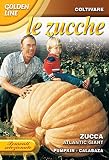 野菜の種 パンプキン ATLANTIC GIANT 145/20