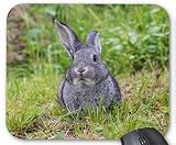 かわいいウサギのマウスパッド：フォトパッド（ 世界の野生動物シリーズ ） (A)