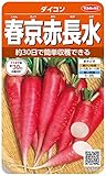 サカタのタネ 実咲野菜5270 春京赤長水 ダイコン 00925270