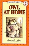 Owl at Home