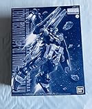 プレミアムMG 1/100 TR-1 (アドバンスド-ヘイズル