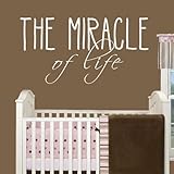 Pop Decors WL-0160-Vb Inspirational Quote Wall Decal The Miracle of Life [並行輸入品]