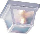 Volume Lighting V7232-6 2-Light Outdoor Ceiling Mount, White by Volume Lighting