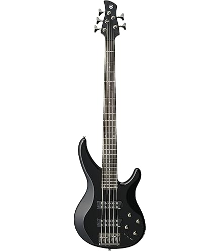 Amazon.co.jp: Peavey MAX 100 100ワット バスアンプコンボ : 楽器
