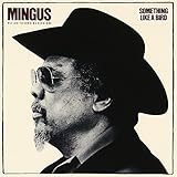 �T���V���O�E���C�N�E�A�E�o�[�h