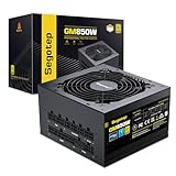 Segotep PC電源ユニット850W フルモジュラータイプ 80 Plus GOLD認証 ATX電源 高効率 140mmファン付き