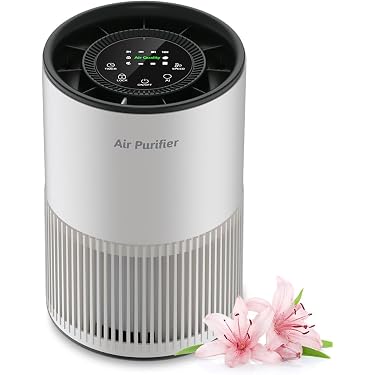 Amazon.co.jp 最新リリース: 空気清浄機 の新着ランキングです。
