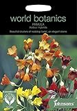 【輸入種子】 Johnsons Seeds World Botanics Collection Primula florindae Keilour Hybrids プリムラ・フロリンダエ・ケイロー・ハ