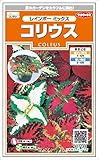 サカタのタネ　コリウス　レインボーミックス　0.1ml