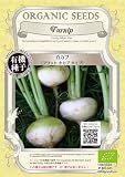 グリーンフィールド 野菜有機種子 白カブ <フラット小カブタイプ> [小袋] A028