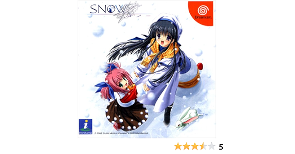 Amazon SNOW (Dreamcast) ゲームソフト