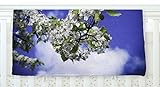 KESS InHouse Nick Nareshni Cherry Blossoms And Blue Sky Aqua White Fleece Baby Blanket 40 x 30 [並行輸入