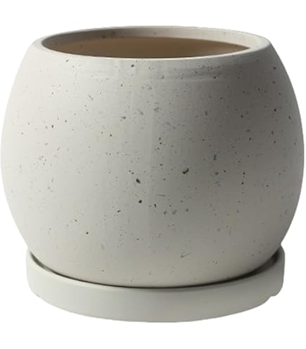 Amazon.co.jp: 信楽焼アンティーク焼締め陶器鉢 口径21.5cm : DIY