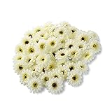 SUND　造花　花のみ　ミニ　花ボール　50輪セット　DIY　手作り　インテリア　雑貨　花部分のみ　シルクフラワー　可愛いカラバリ 高品質　造花　枯れない　結婚式　誕生日　発表会　入学式　卒業式　適用