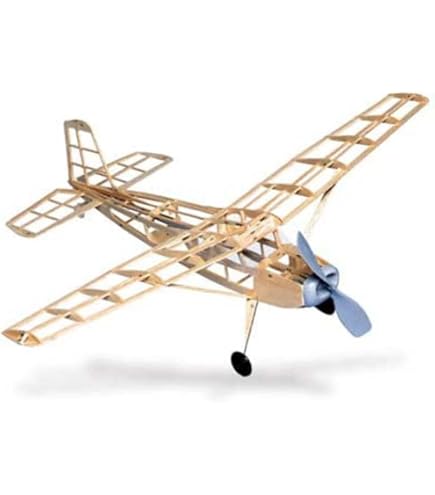 Amazon | [ニューレイ]New Ray 1/42 Cessna 172 Skyhawk Model Kit