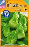 【種子】 四川児菜（子持タカナ） 中原採種場
