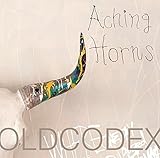 �w�f�� �n�C���X�s�[�h!-Free! Starting Days-�x���́uAching Horns�v