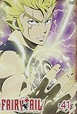 FAIRY TAIL 41