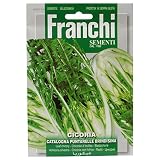 野菜の種 プンタレッレ CATALOGNA PUNTARELLE BRINDISINA 40/46