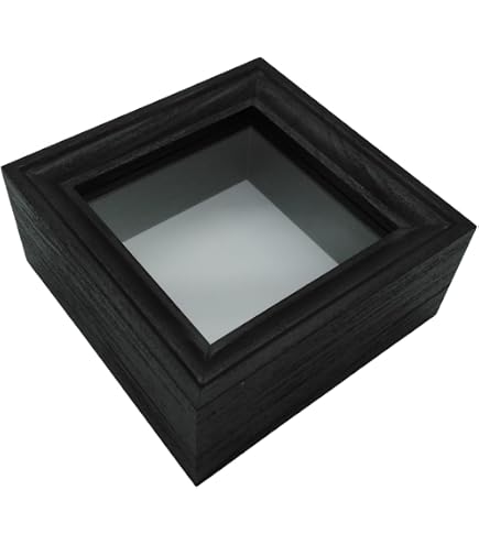 Amazon.co.jp: 【UVカット・ペフなし】大型ドイツ型標本箱[黒