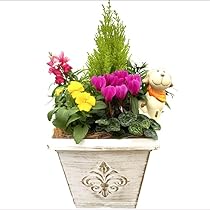 Amazon.co.jp: 季節の寄せ植え 秋冬 アンティーク調 スクエア