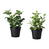 IKEA(イケア) FEJKA 人工観葉植物 ハーブ アソートプランツ 左