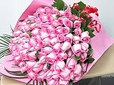 100本バラ ピンク系バラの花束。単色かピン系ミックスの場合あります。彼女 女性の誕生日プレゼント。 花束をギフトボックスに入れてお届けします。