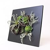 A plus floral art インテリア グリーン ボタニカル フレーム quatro クワトロ 黒 フェイクグリーン 多肉植物 観葉植物 造花 壁掛け ギフト