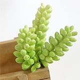 Lorny(TM) 1PCS PVCシミュレーション多肉植物人工植物DIYホームの庭の装飾フラワーアレンジメント花アートアクセサリーD11