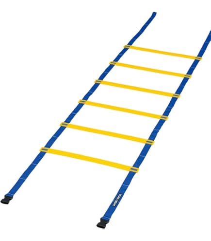 Amazon | TOEI LIGHT(トーエイライト) スピードラダーHG10M G1373 長さ