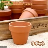 ドイツ製 テラコッタポット (内径3×高さ3cm) 穴有り SAA03-0 5個セット