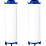 【日本製】日丸屋製作所 交換用カートリッジ シャワーヘッド用 塩素除去 浄水フィルター 2本セット(6ヵ月分)