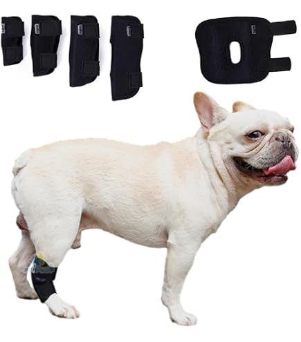 Amazon | 犬 脚 ブレース 犬用サポーター 前足 後ろ足 犬の足