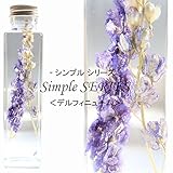 ハーバリウム 【 デルフィニューム 】 herbarium SIMPLE SERIES