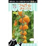 トキタ種苗 ミニトマト フラガールオランジェ