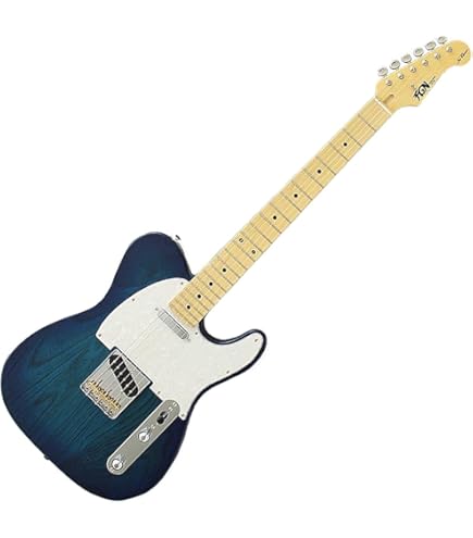 FGN テレキャスタータイプ エレキギター NTL10MAH VNT 楽天市場】FGN