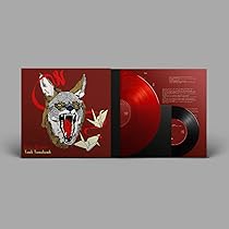 51FIzR7-JJL._AC_UL210_SR210,