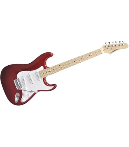 PLAYTECH プレイテック TL250 Rose Sunburst Amazon | 【国内正規品】 PLAYTECH プレイテック エレキギター TL250