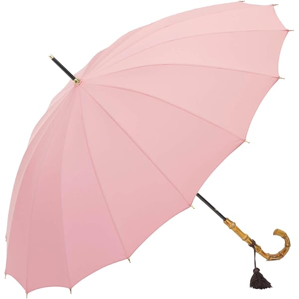 Amazon | 傘 レディース 長傘 16本骨 雨傘 前原光榮商店 花の総柄