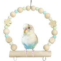 172　インコ　アスレチック　吊り下げブランコセット　中型インコちゃんサイズ！！ 172 インコ アスレチック 吊り下げブランコセット 中型インコ