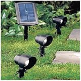 JIAWEI TECHNOLOGY SPS1-P2-BK-PK3 Four Seasons Courtyard High Output Natural White Solar Flood Light,