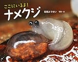 ここにいるよ! ナメクジ (ふしぎいっぱい写真絵本) by secretagent969