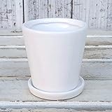 ホワイトインテリア陶器鉢直径9cm受け皿付き 4個セット[3号サイズ・インテリア・観葉向きの鉢] ノーブランド品