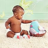 ベビーアスペン Baby Aspen 女の子用小鳥のニットぬいぐるみとソックス3足セット [並行輸入品]