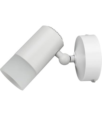 Amazon | 大光電機 DAIKO LEDアウトドアスポットライト ランプ別売