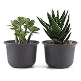 T4U 5.75 インチ プラスチック植木鉢 ラウンド 多肉植物 サボテン鉢 フラワーポット プランター容器 黄褐色 2個入り
