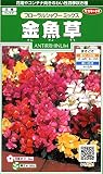 サカタのタネ 実咲花6251 金魚草 フローラルシャワーミックス 00906251
